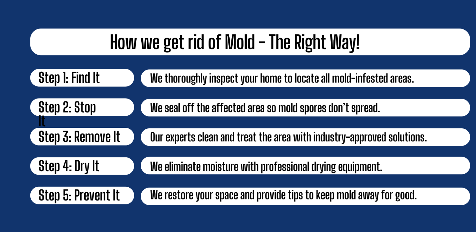 Get rid of Mold the right way